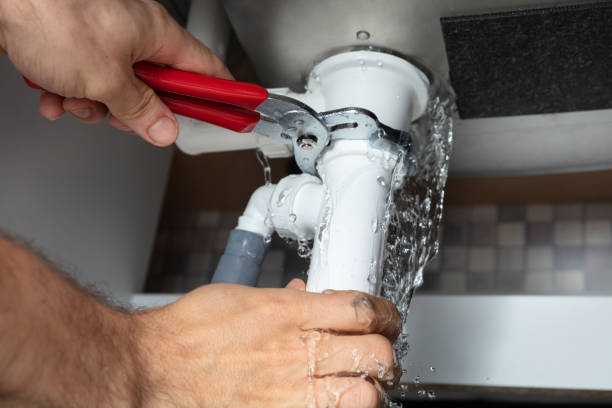 Best Mold removal after water damage  in Diamond Bar, CA