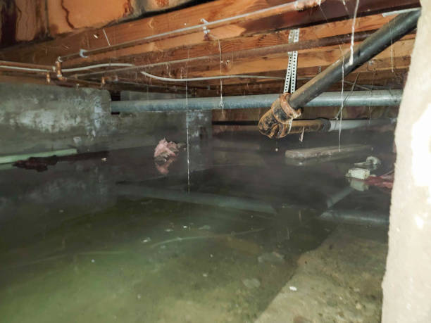 Best Water damage restoration near me  in Diamond Bar, CA