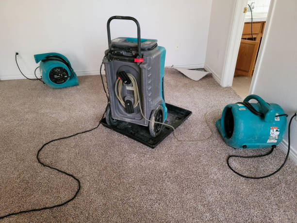 Best Water damage contractors near me  in Diamond Bar, CA