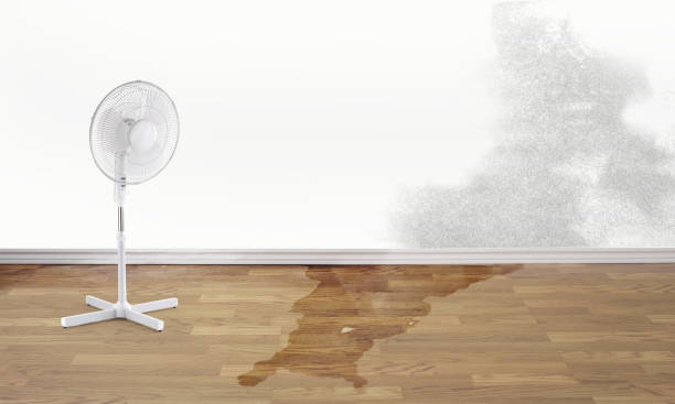 Best Water damage restoration insurance claims  in Diamond Bar, CA