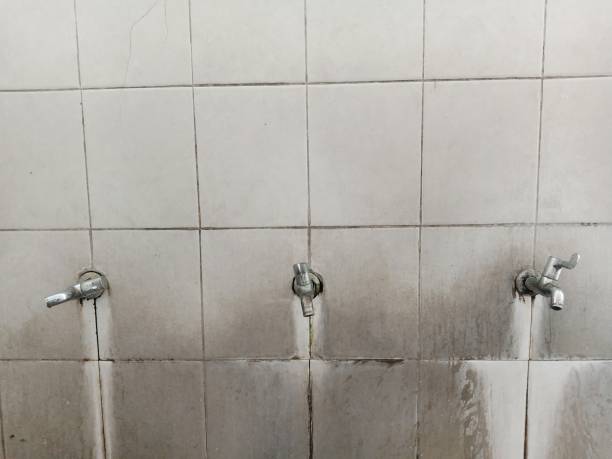 Best Local water damage restoration  in Diamond Bar, CA