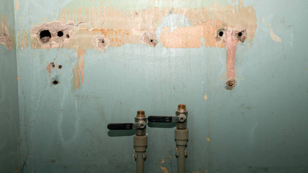 Best Residential water damage restoration  in Diamond Bar, CA