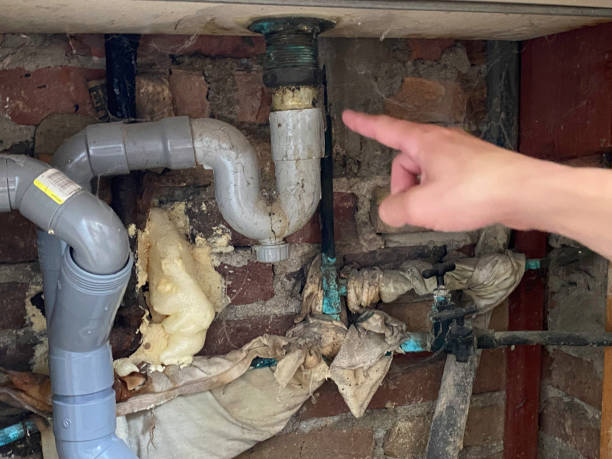 Best Flood damage cleanup  in Diamond Bar, CA