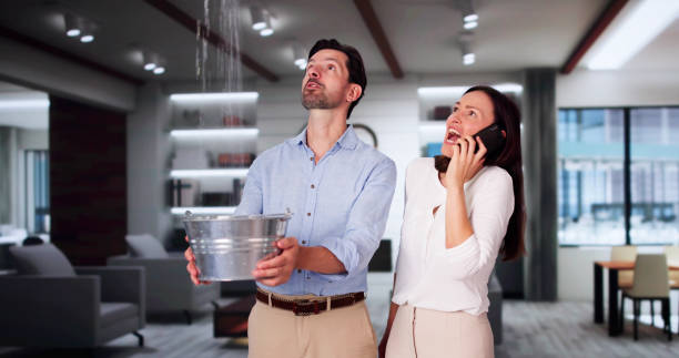 Best Professional water damage repair  in Diamond Bar, CA