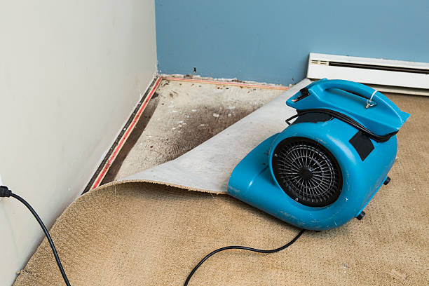 Best Water damage restoration near me  in Diamond Bar, CA